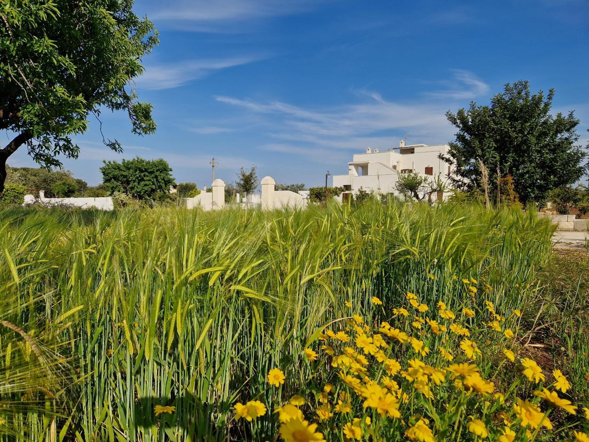 Residenza "I Tre Carrubi " Villa Fasano Buitenkant foto